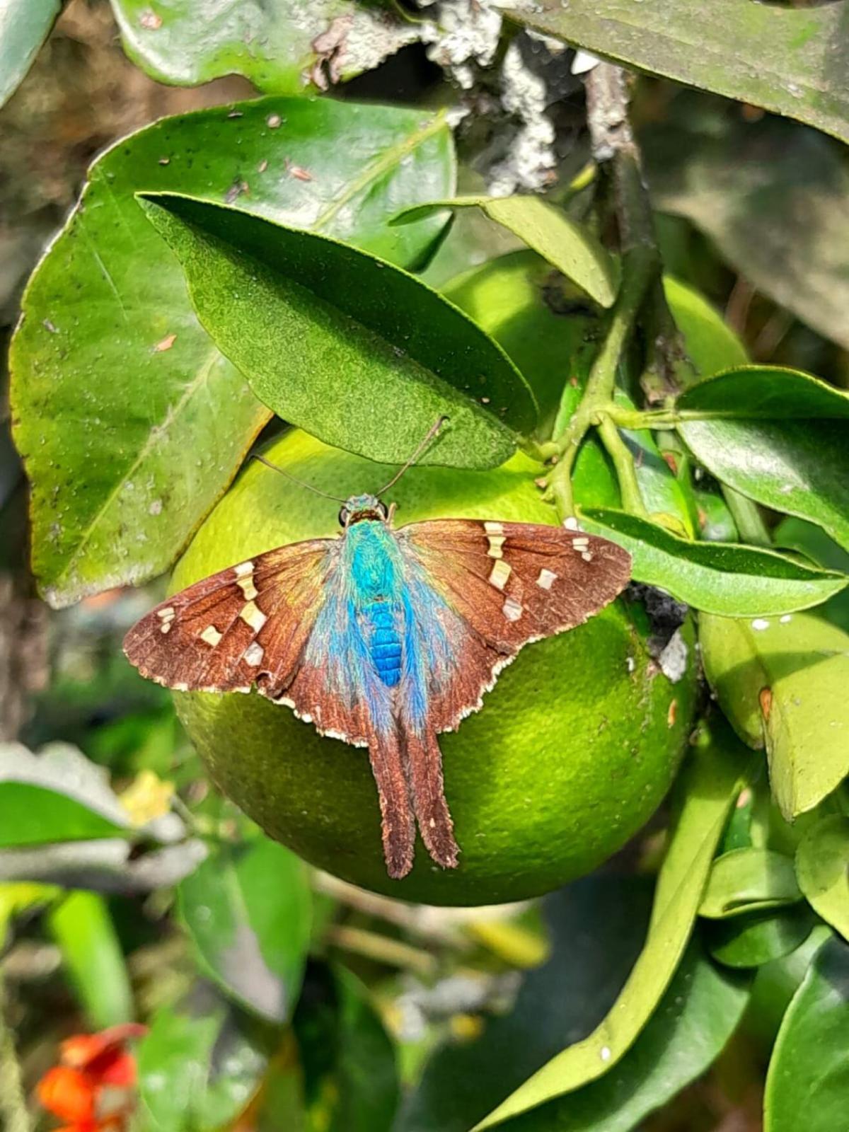 Bosques De La Pradera Hotel มานิซาเลส ภายนอก รูปภาพ